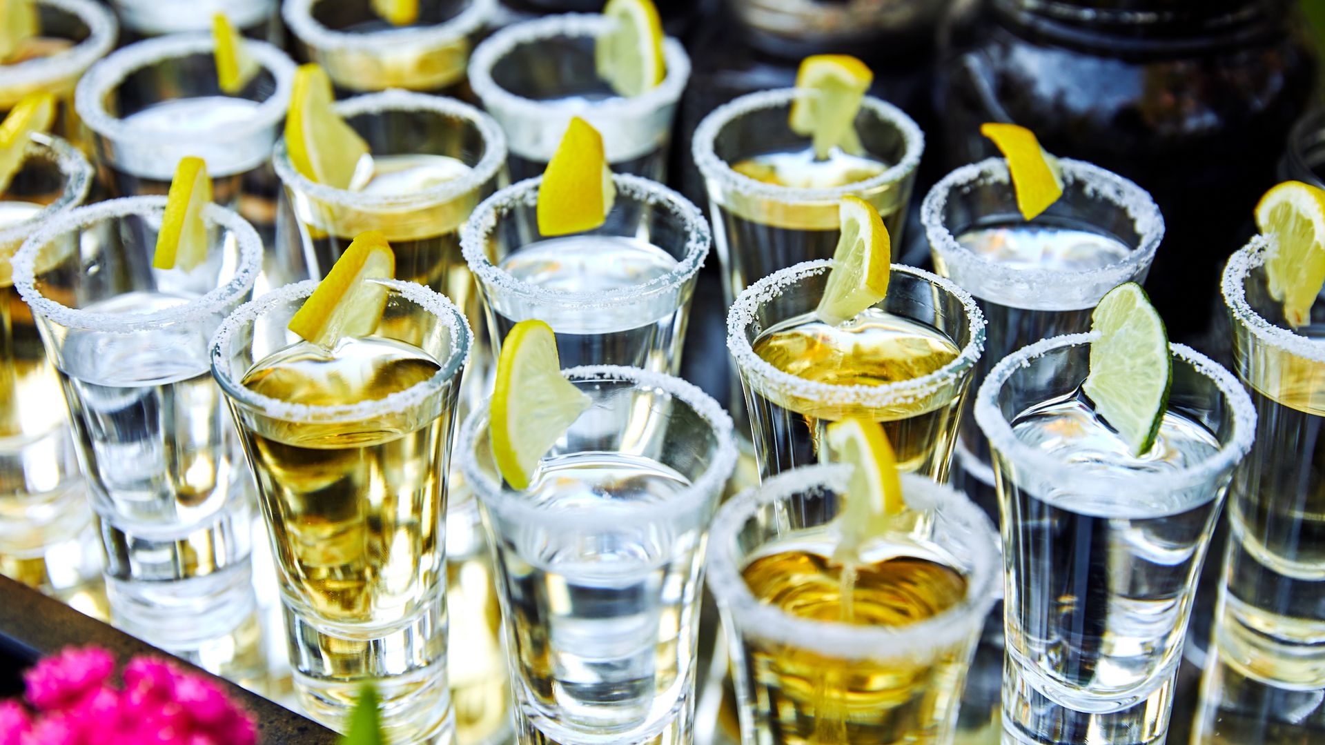 Woman overserved on cruise given $300,000 in damages